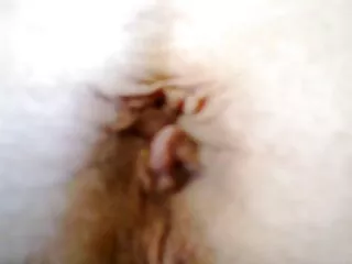 Nézd pornó videók anális Galéria kurva főiskolák jó minőségű, kategóriában a apa lánya pornovideok szex a végbélnyílás.